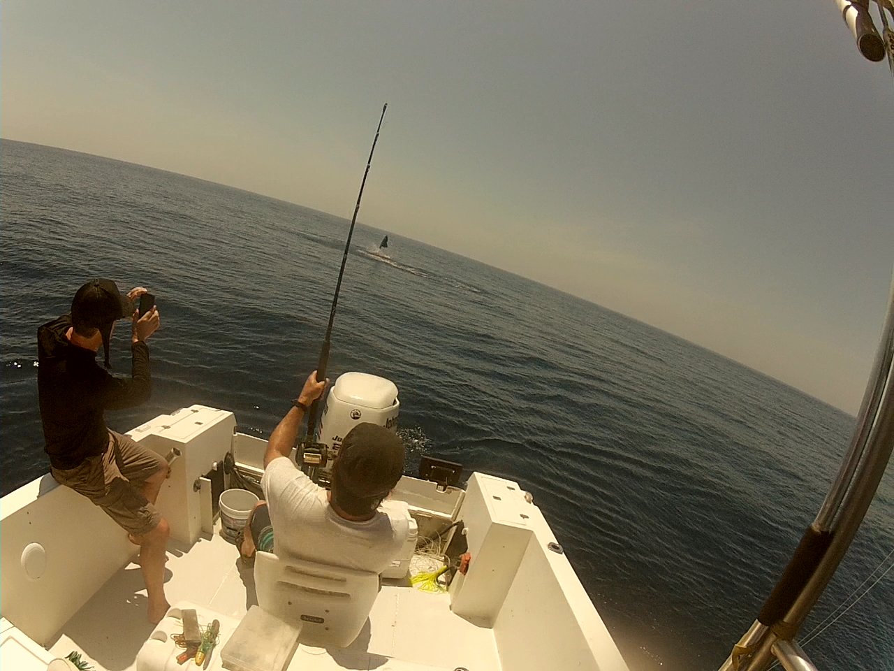 costa rica samara offshore fishing tours